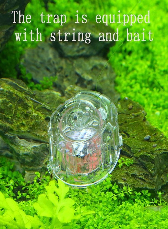 HIERYAN Snail Tool Aquarium Snail Trap Snail Box with Fishing Line for Aquarium Fish Tank, Capture Small Snails, Baby Snails - Image 4